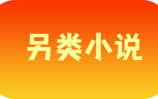 《另类小说》